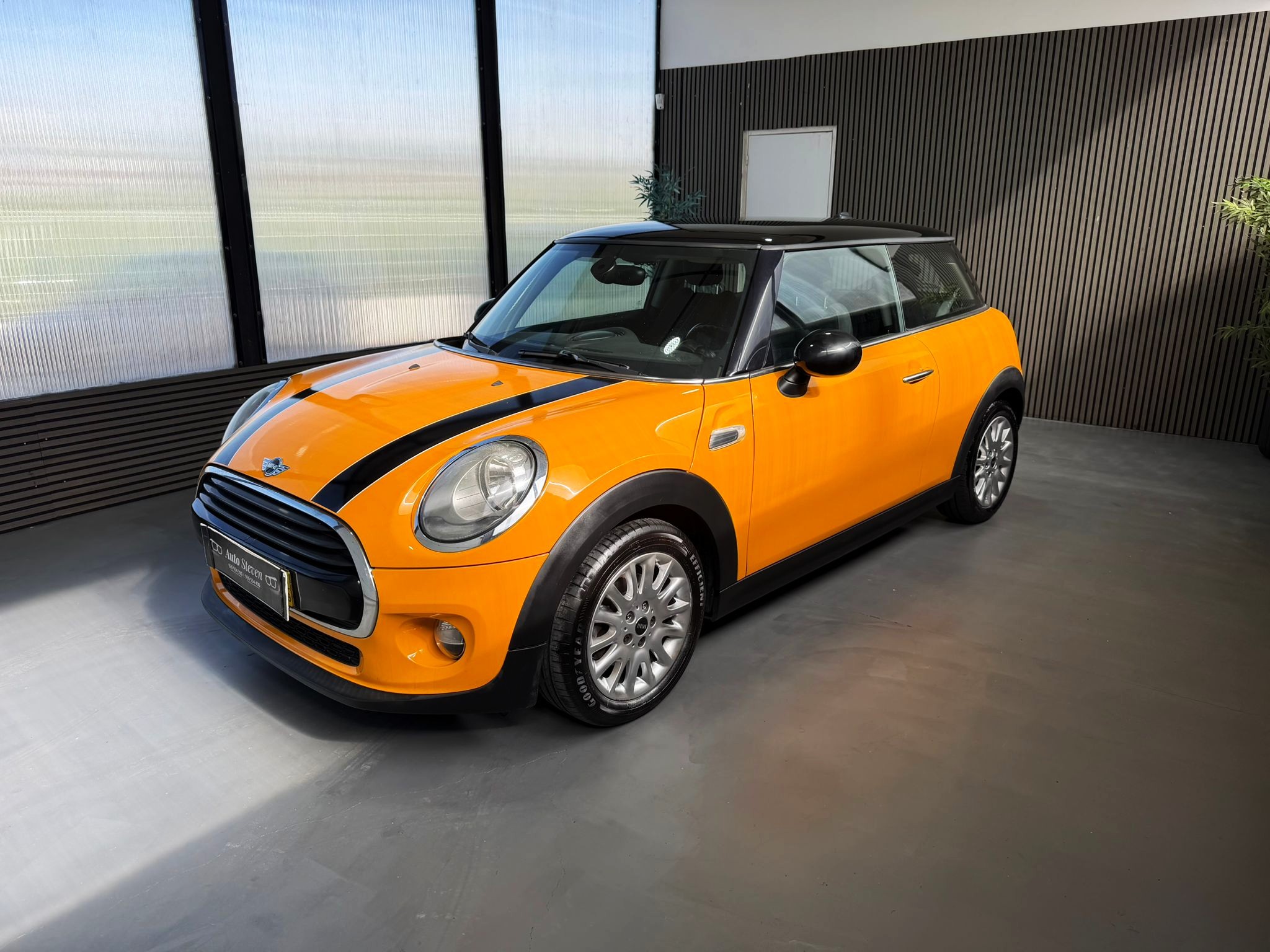Mini